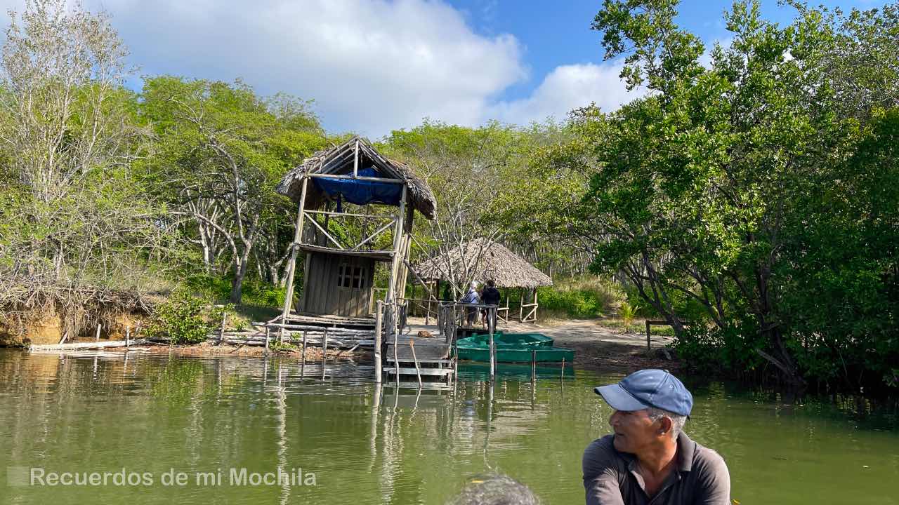 Laguna Guanaroca