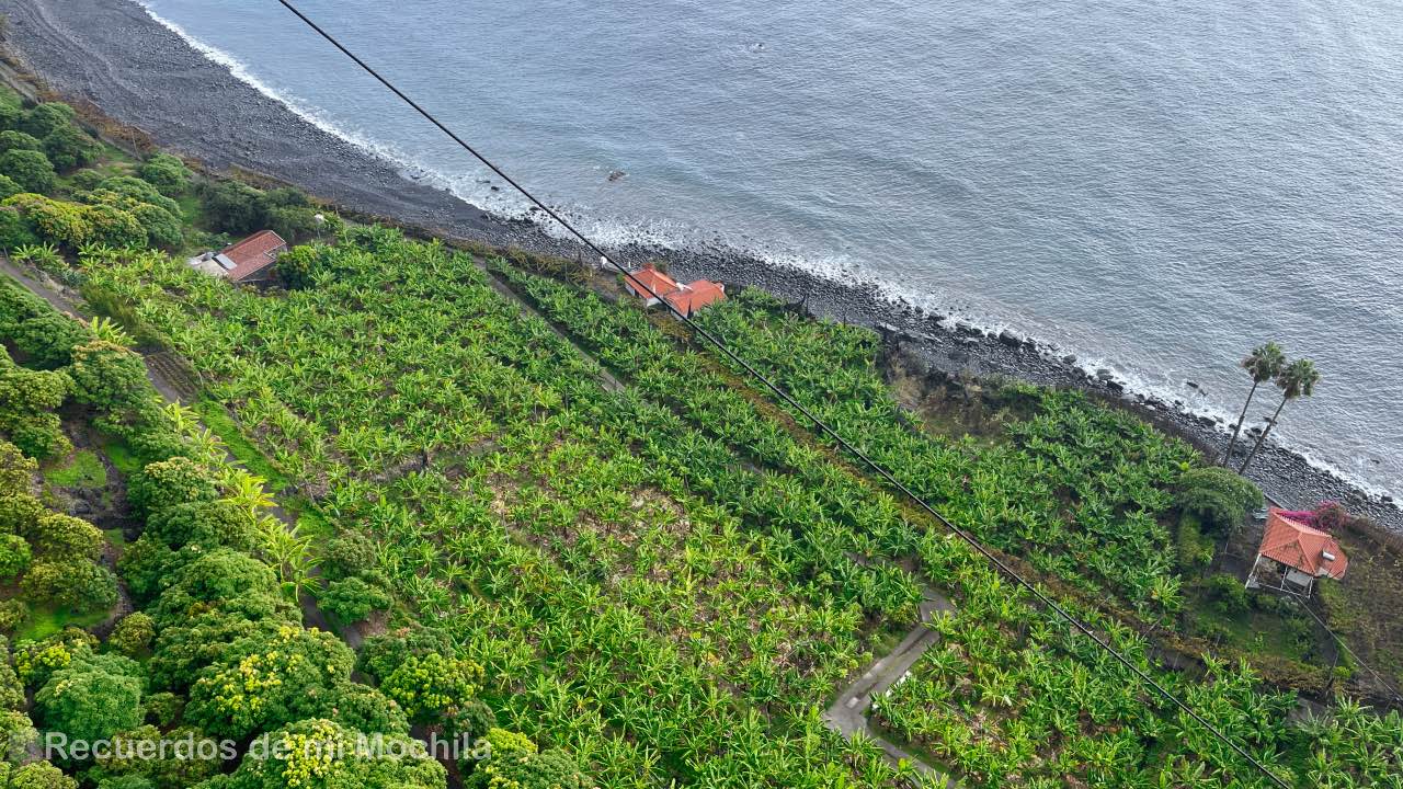 Madeira