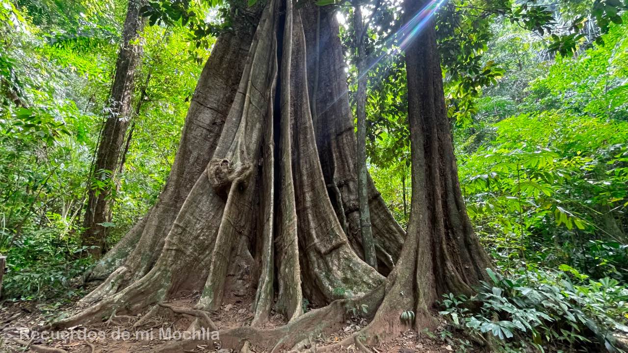 Koh Yao Noi