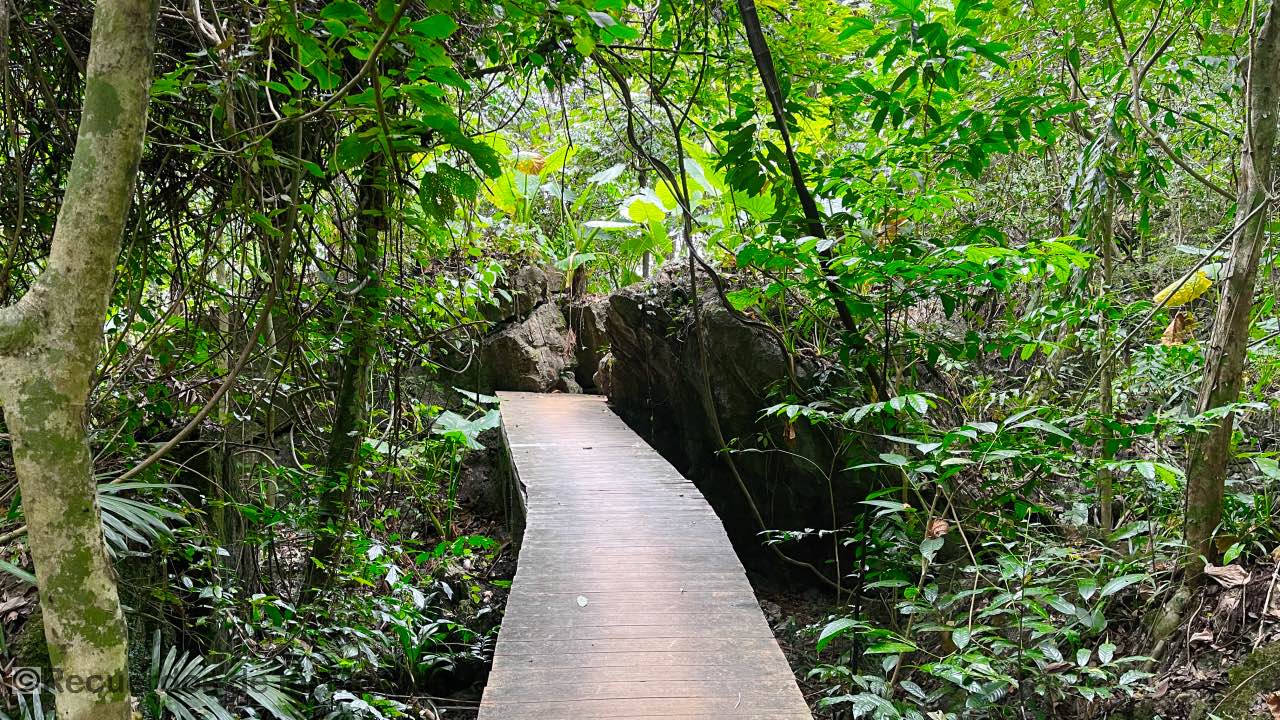 Koh Yao Noi