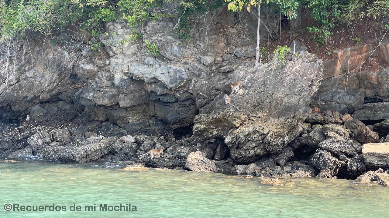 Bahía de los monos