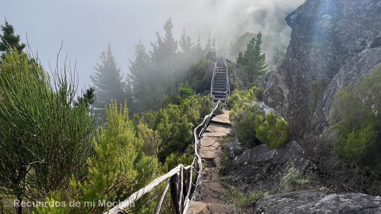 miradores de Madeira