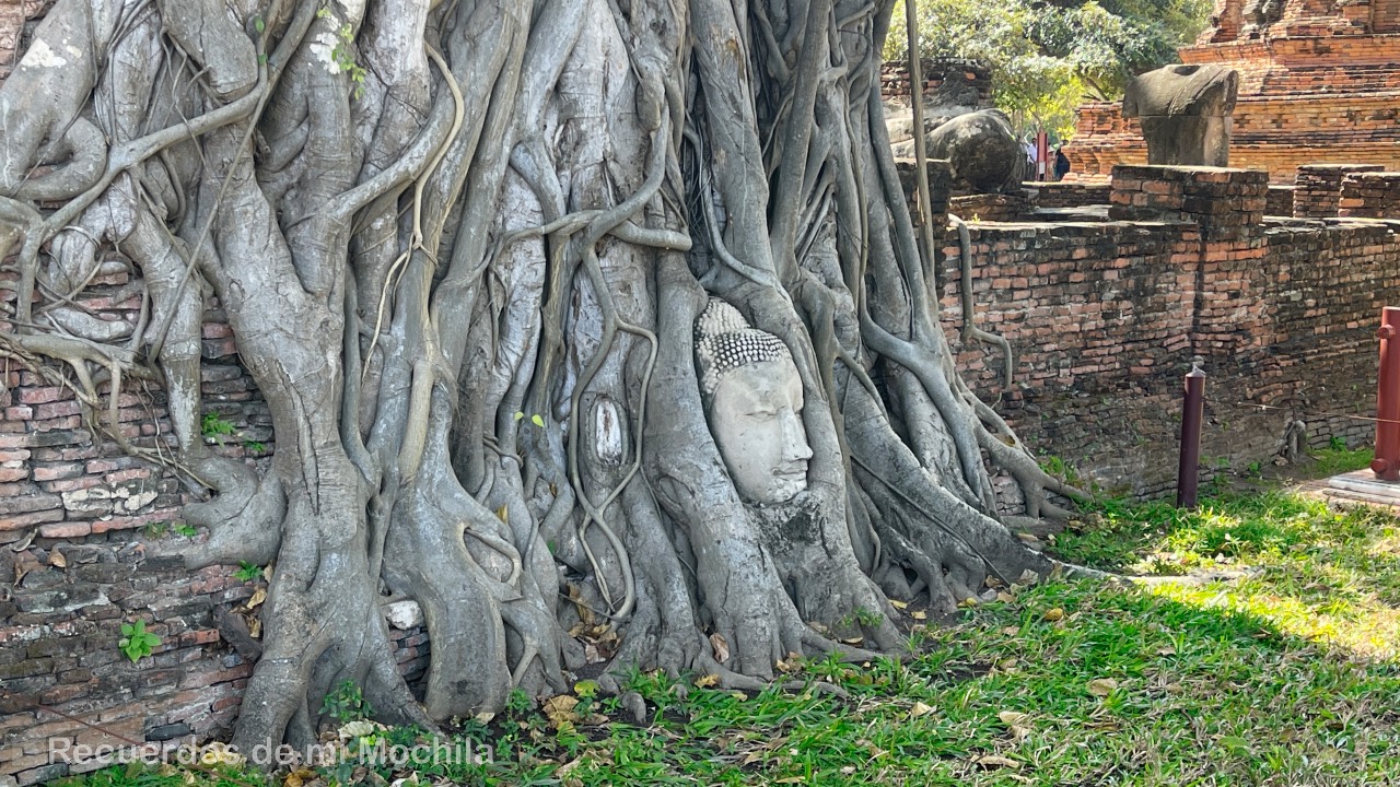 Ayutthaya en un día