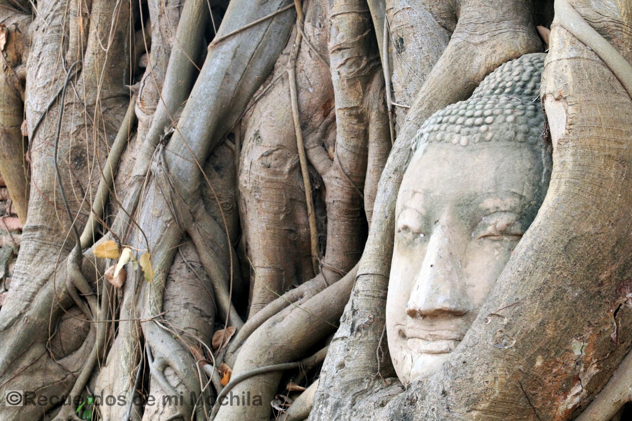 Ayutthaya en un día