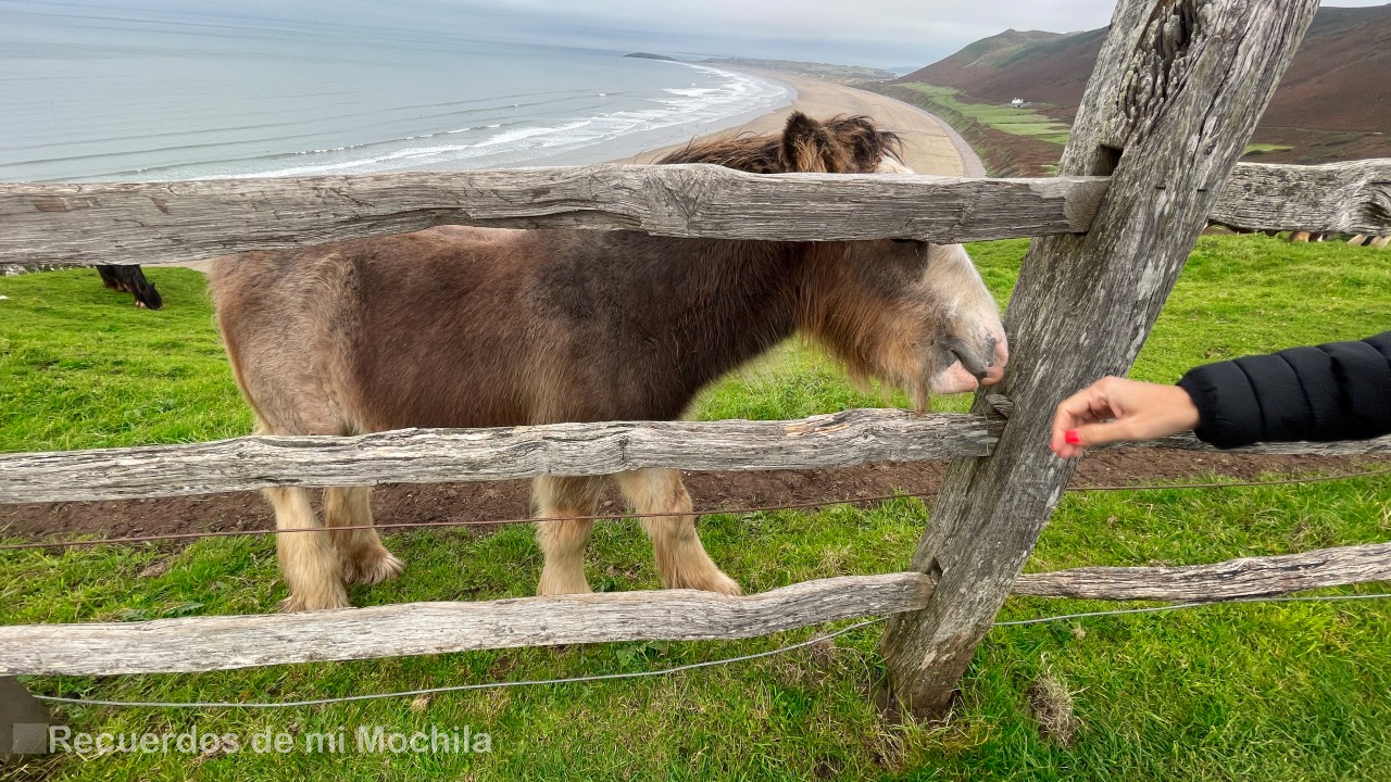 Worms Head