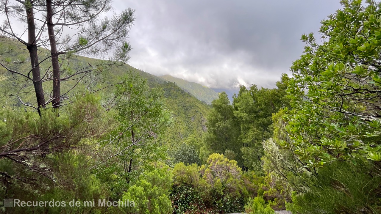 Levada do Risco