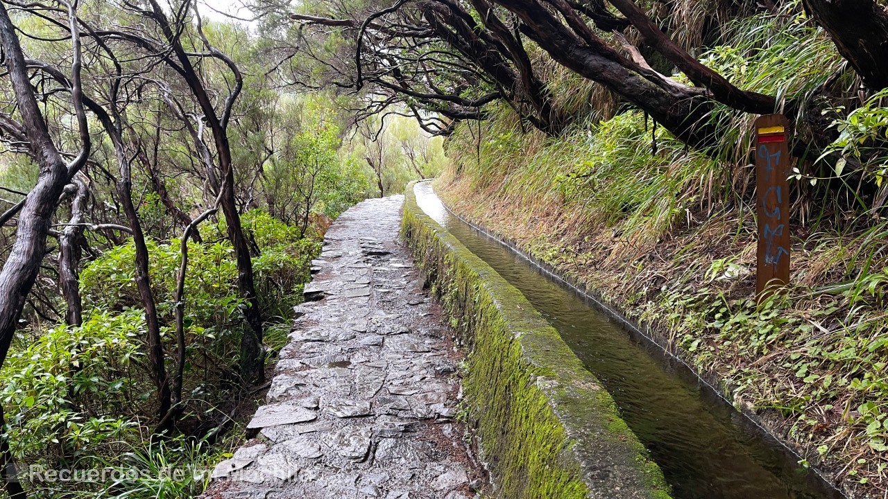 Levada do Risco