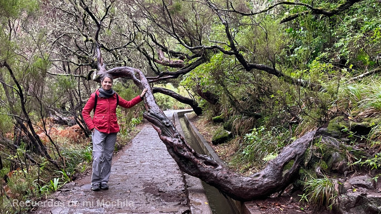 Levada das 25 Fontes