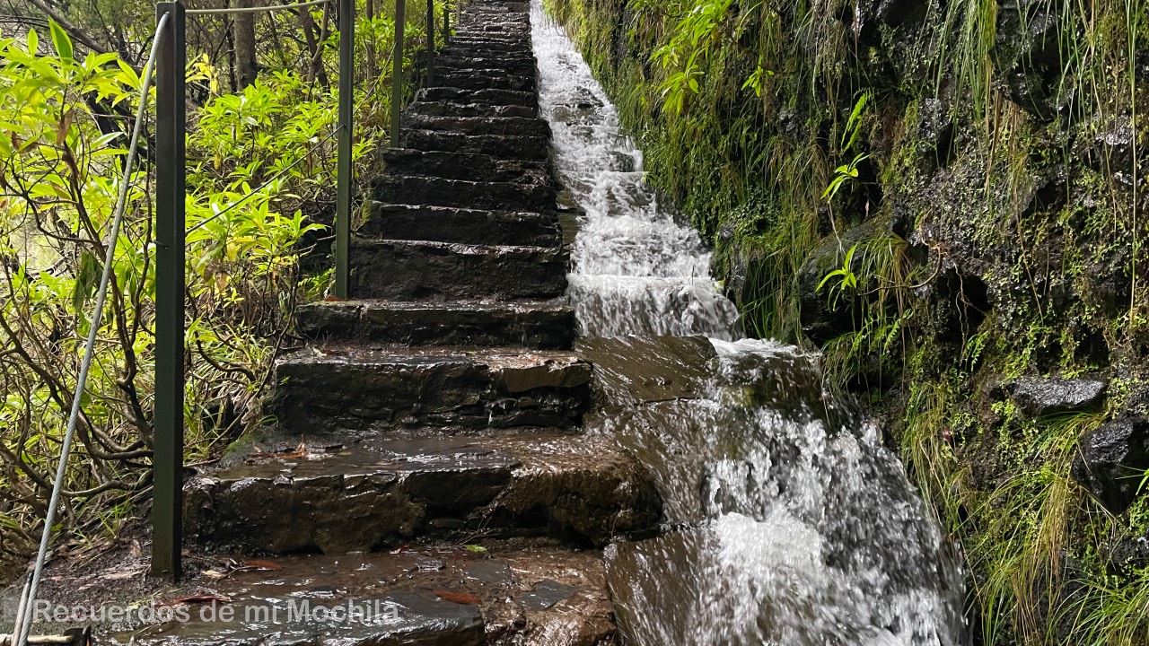 Levada das 25 Fontes
