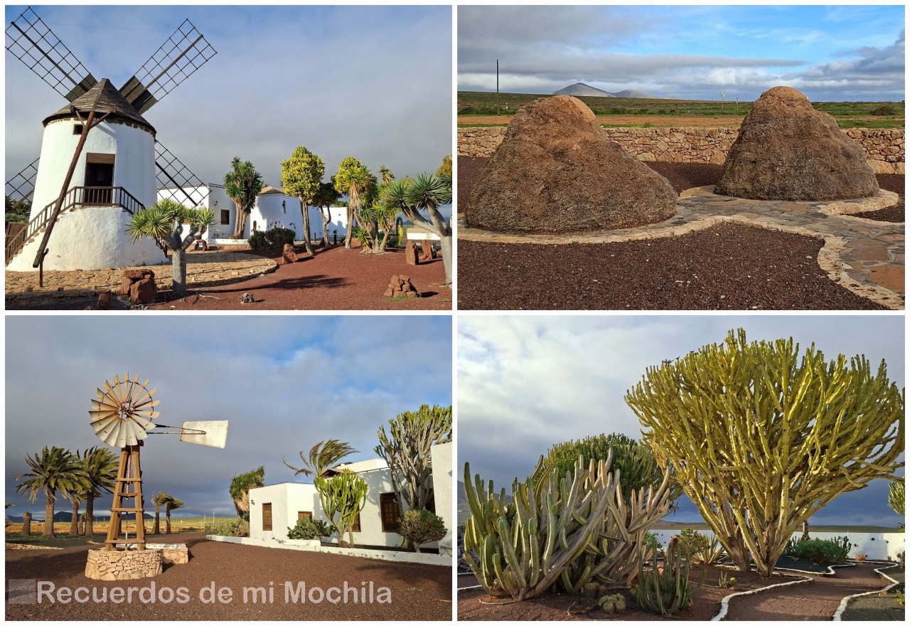 Museos de Fuerteventura