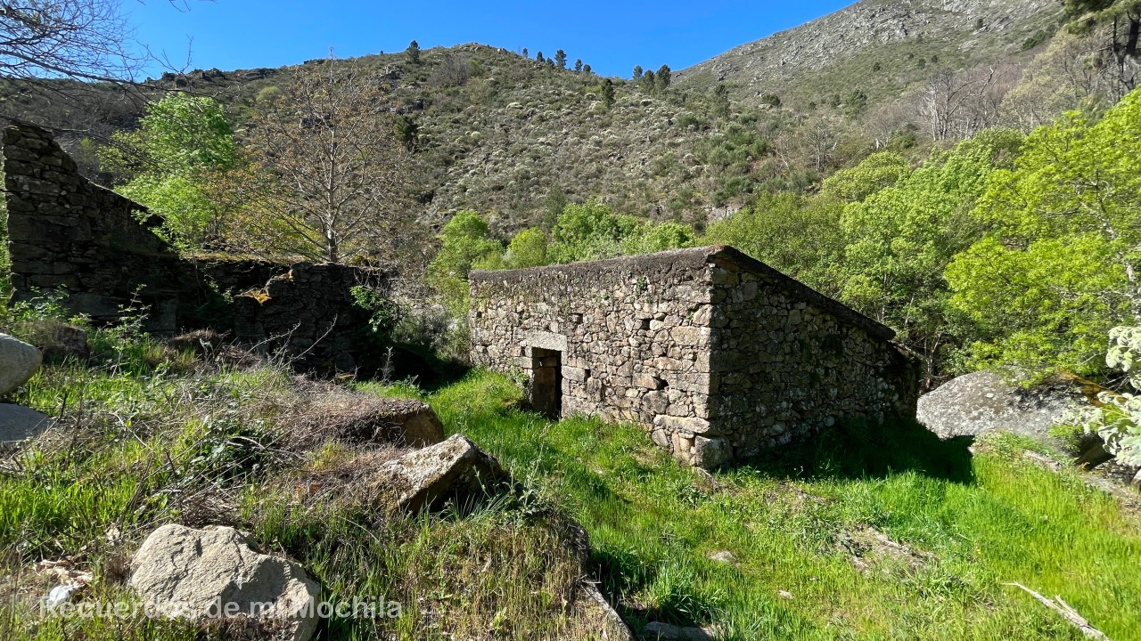 pasarelas del Mondego