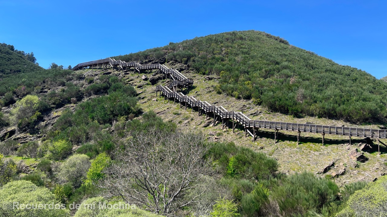 pasarelas del Mondego