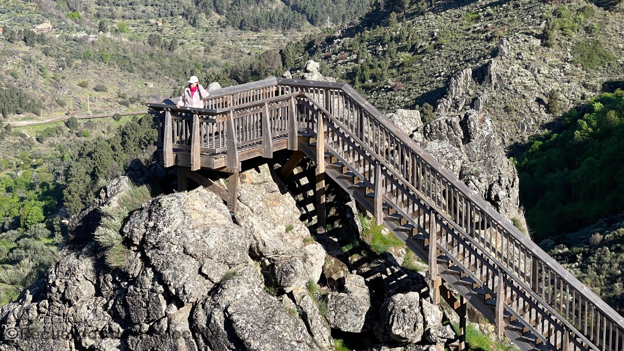 pasarelas del Mondego