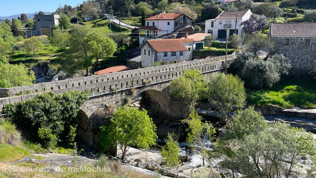 pasarelas del Mondego
